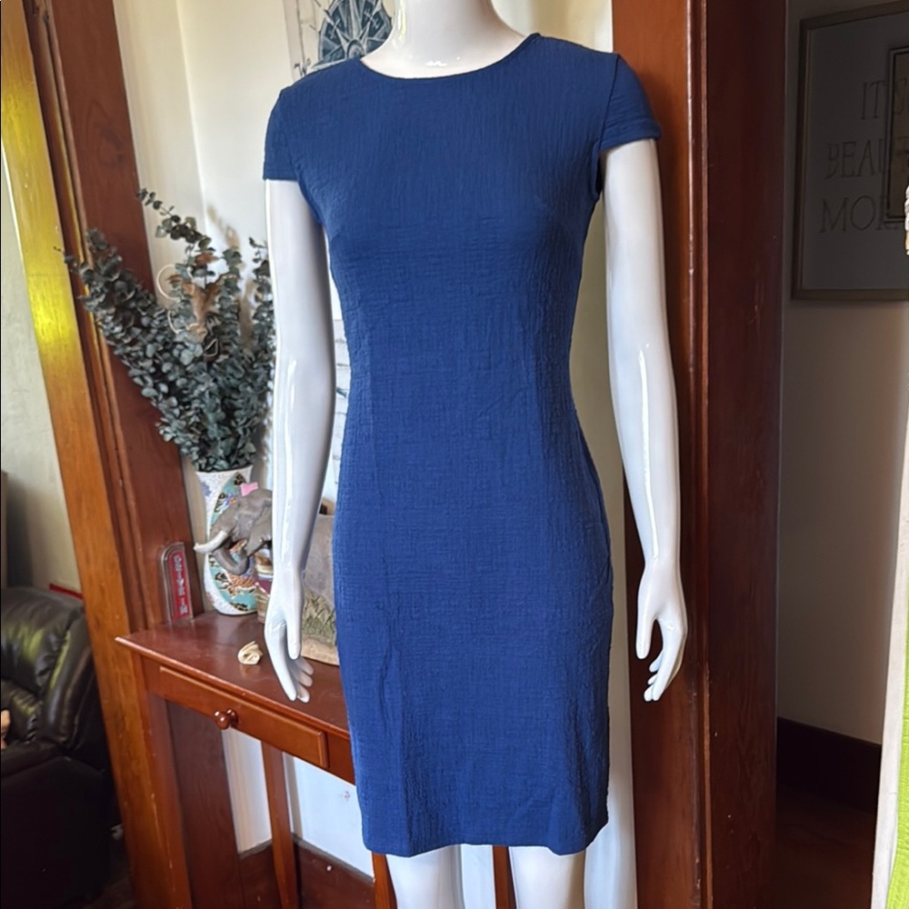 NWT apricot size x small Elegant textured body con Blue Women's Dress